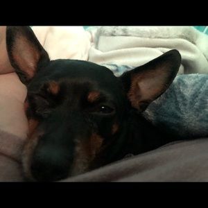 Meet your Posher, Janine